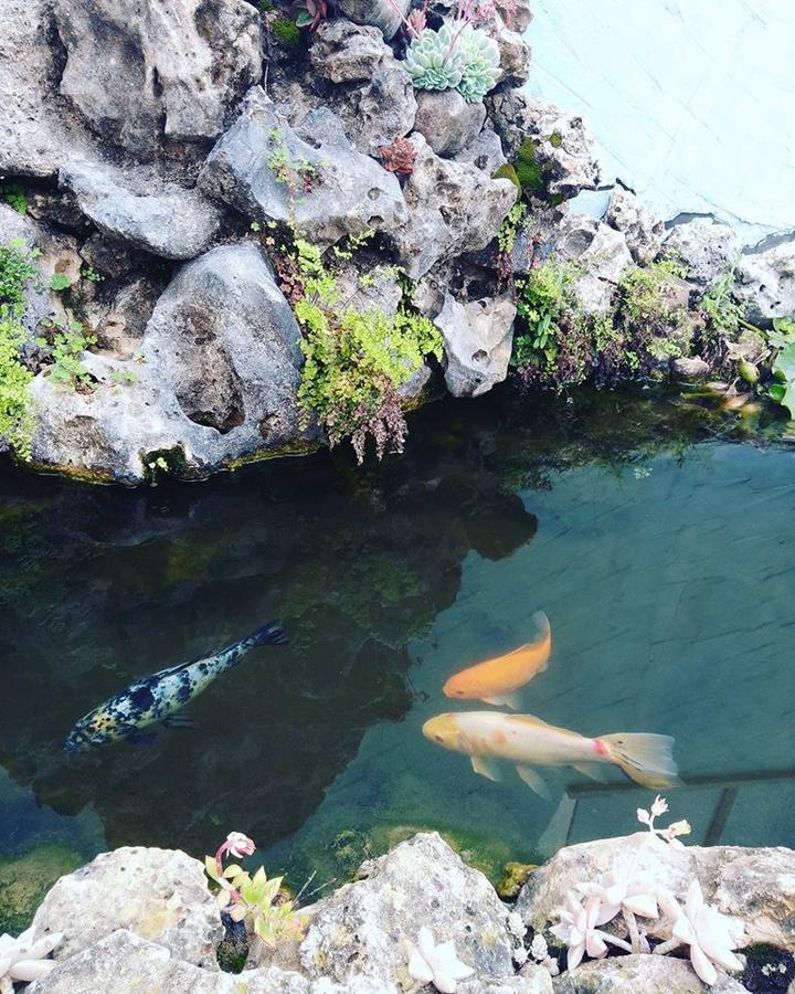 阿尔热祖尔 壁炉旅馆酒店 外观 照片